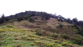 Hill Where Hominid Had Walked